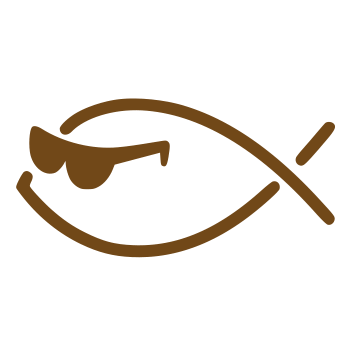 Радио Новая жизнь